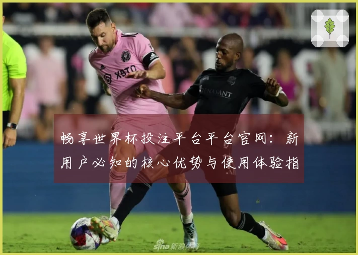 畅享世界杯投注平台平台官网：新用户必知的核心优势与使用体验指南