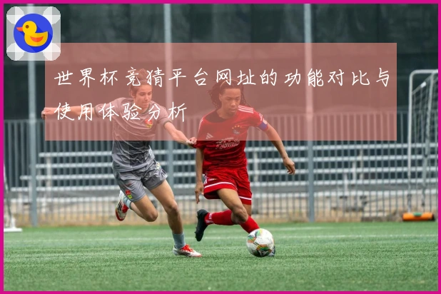 世界杯竞猜平台网址的功能对比与使用体验分析