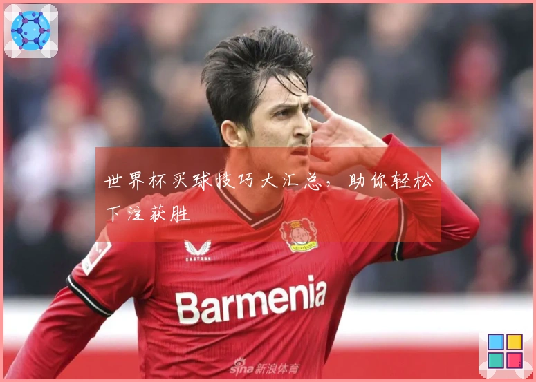 世界杯买球技巧大汇总，助你轻松下注获胜