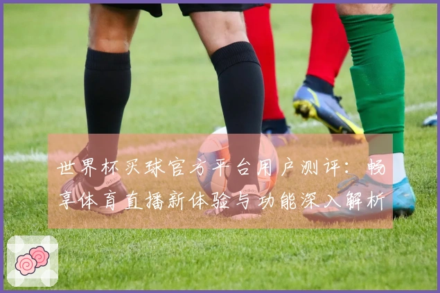 世界杯买球官方平台用户测评：畅享体育直播新体验与功能深入解析