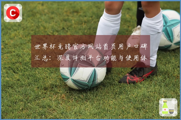世界杯竞猜官方网站首页用户口碑汇总：深度评测平台功能与使用体验