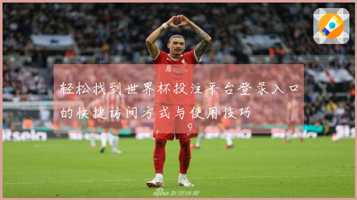 轻松找到世界杯投注平台登录入口的快捷访问方式与使用技巧