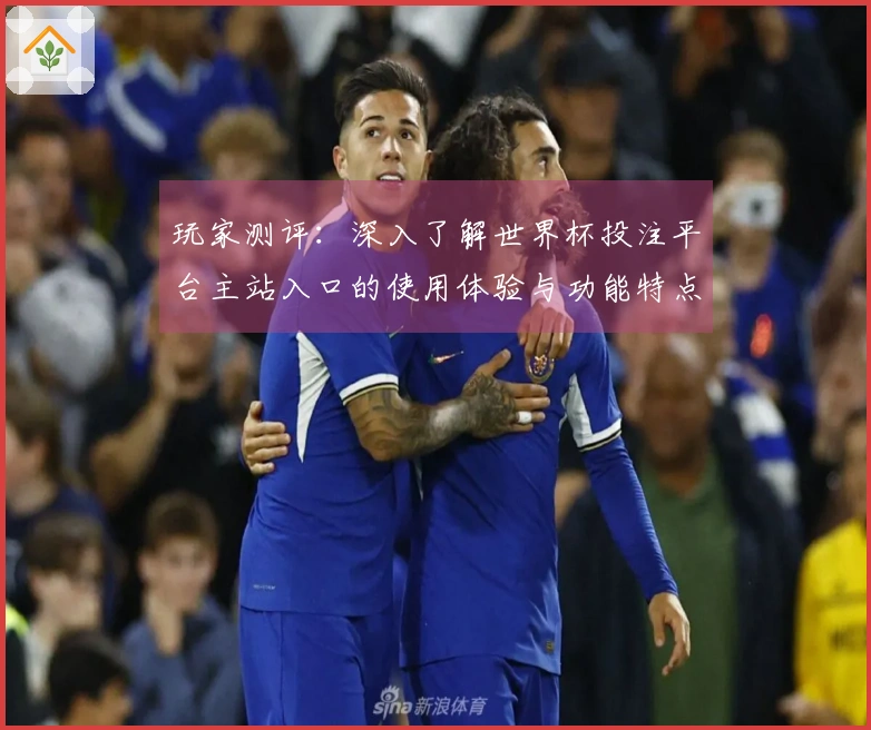 玩家测评：深入了解世界杯投注平台主站入口的使用体验与功能特点