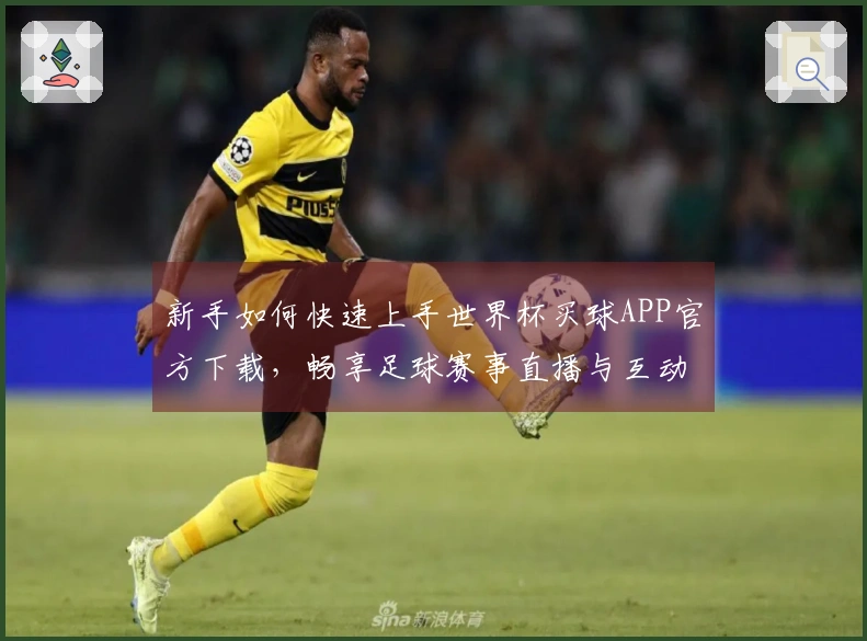 新手如何快速上手世界杯买球APP官方下载，畅享足球赛事直播与互动体验