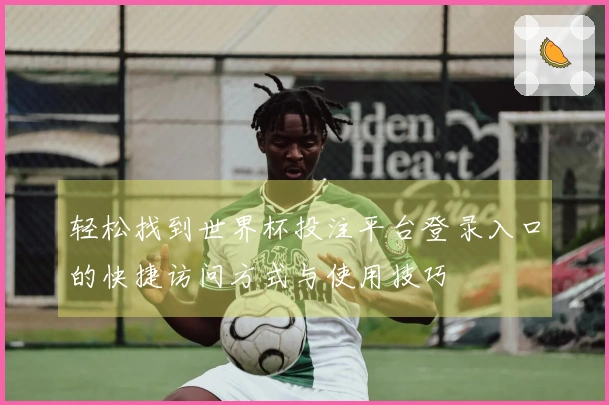轻松找到世界杯投注平台登录入口的快捷访问方式与使用技巧