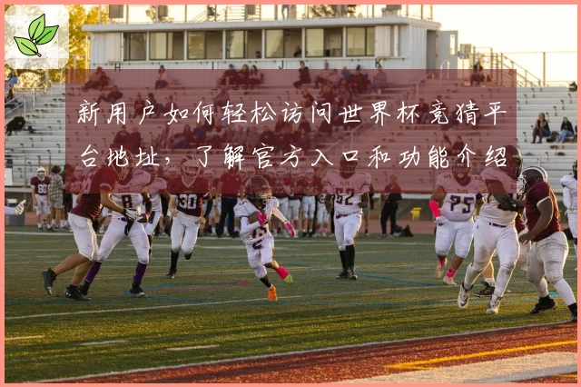 新用户如何轻松访问世界杯竞猜平台地址，了解官方入口和功能介绍