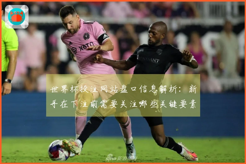 世界杯投注网站盘口信息解析：新手在下注前需要关注哪些关键要素